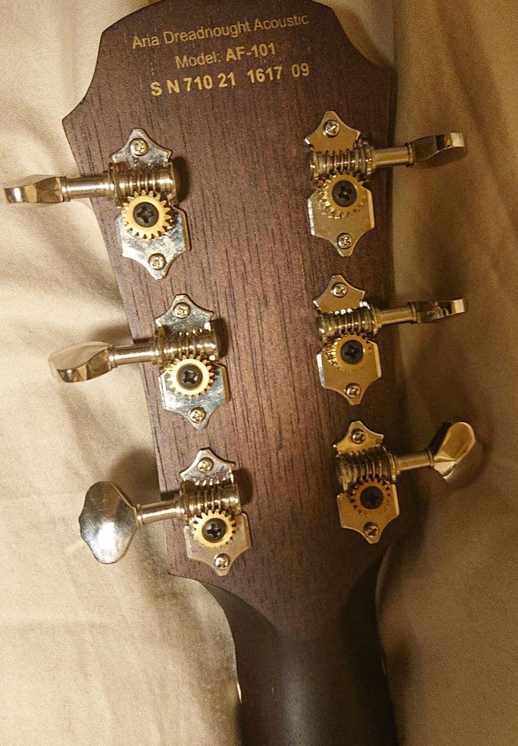 ARIA AF-101MHCE N マホガニーカッタウェイ