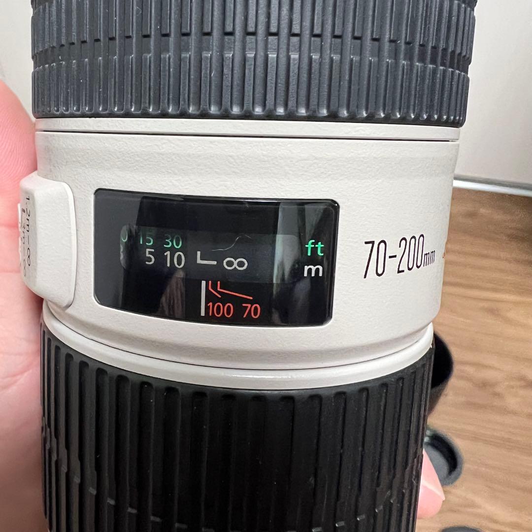 くま　CANON EF70-200mm F4L IS USM　キヤノン