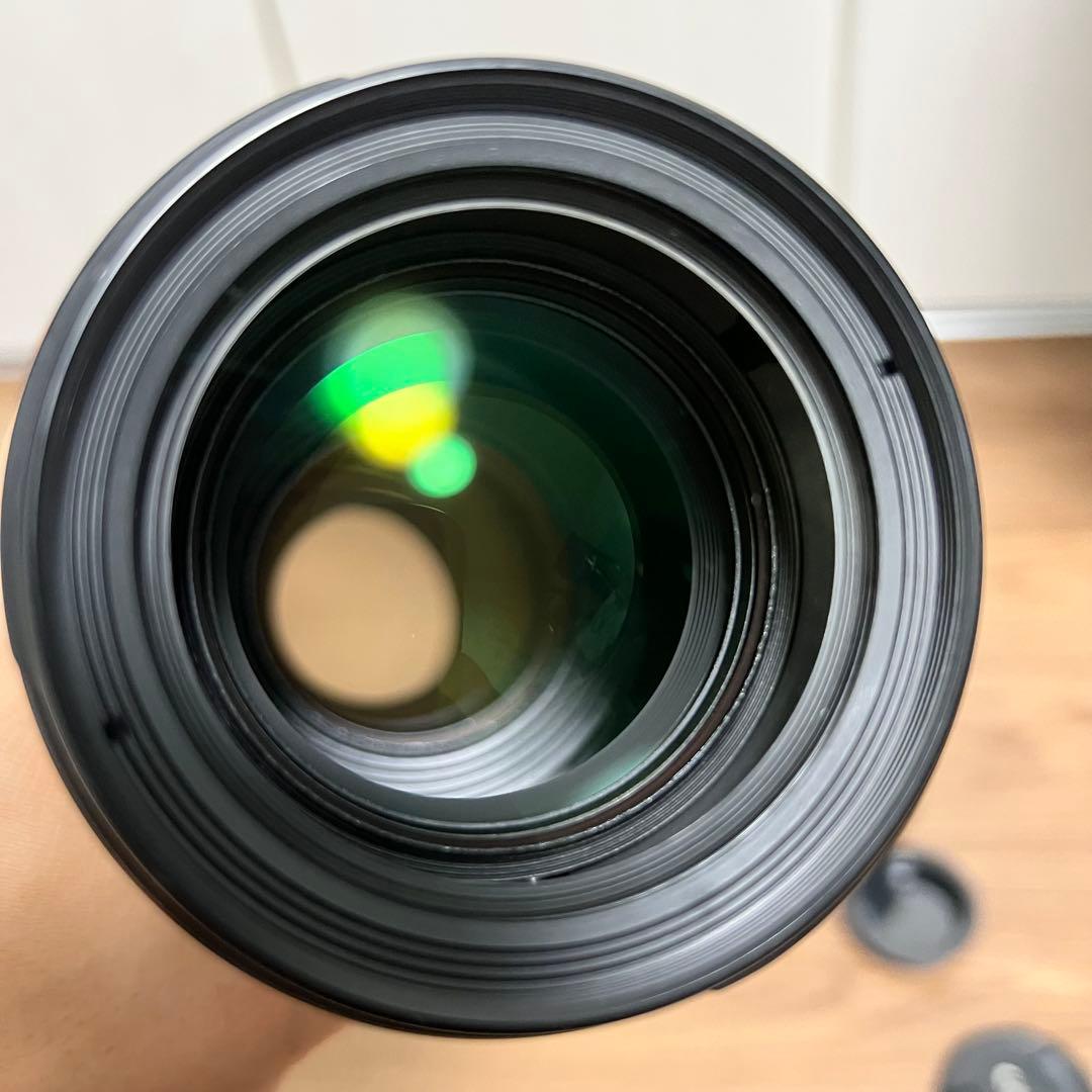 くま　CANON EF70-200mm F4L IS USM　キヤノン