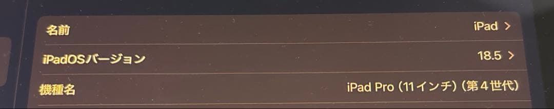 IPad Pro 11インチ第4世代+ペンシル ケース付き