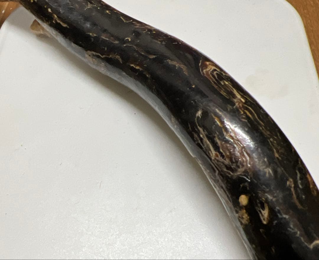 黒珊瑚　深海松　原木　長さ；35センチ H 1-1