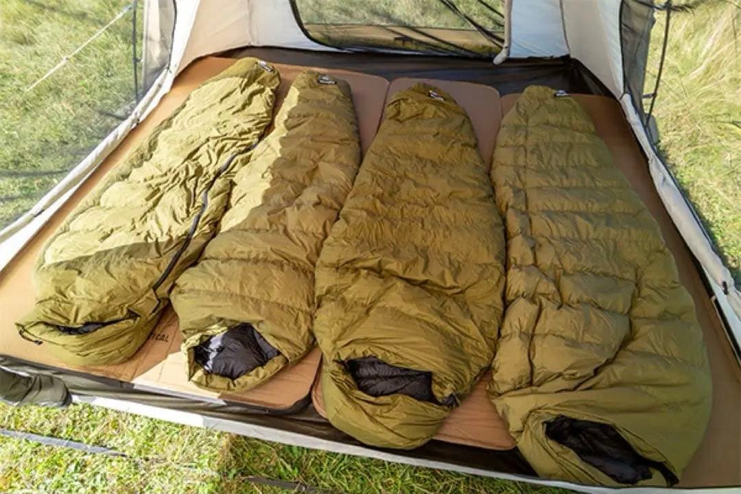 サバティカル ギリア plus 3点セット