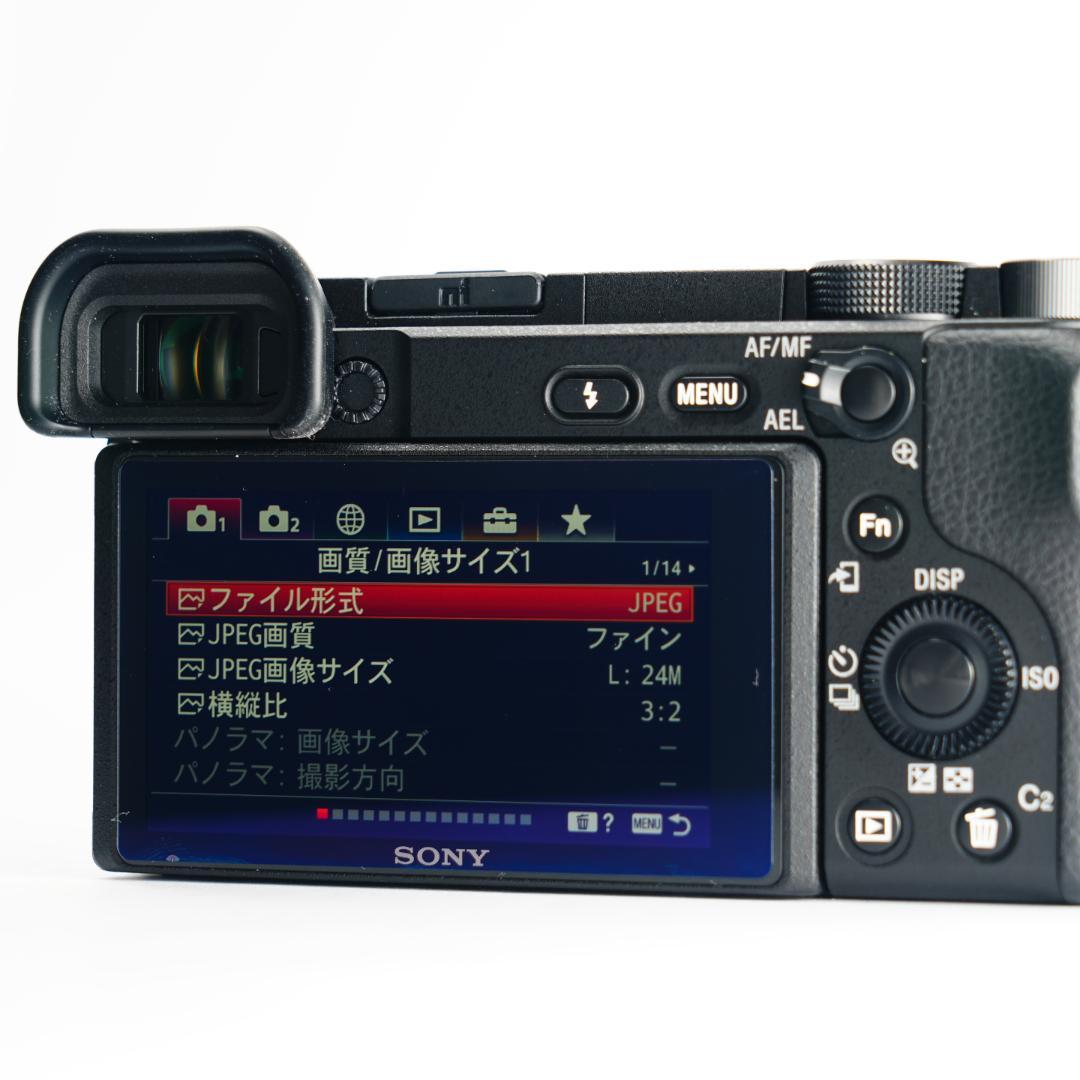 運動会撮影で愕然としたあなたへ α6400 ダブルズーム SONY ミラーレス