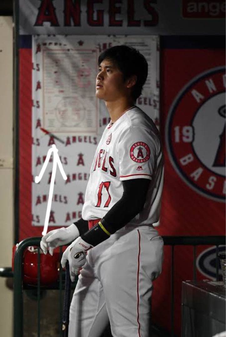 大谷翔平　実使用　ラインナップカード　直筆サイン入り　ホームラン　検) ボール