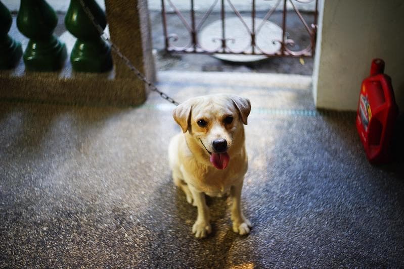 39　新品同様　希少ヘリオス　77M-4　ぐるぐるボケレンズ　　M42