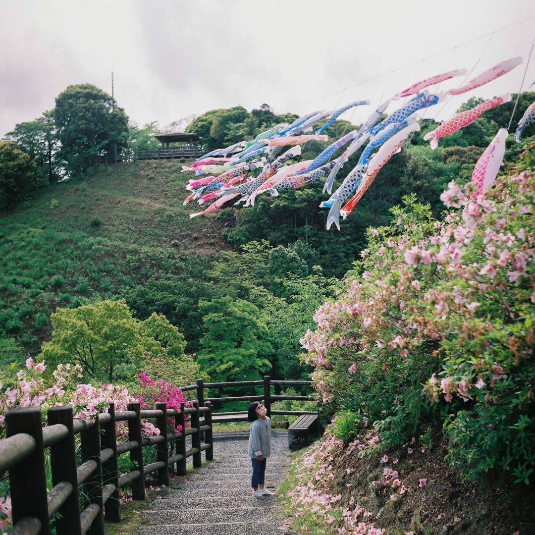 【整備済】ALPEN FLEX アルペンフレックス 二眼レフ