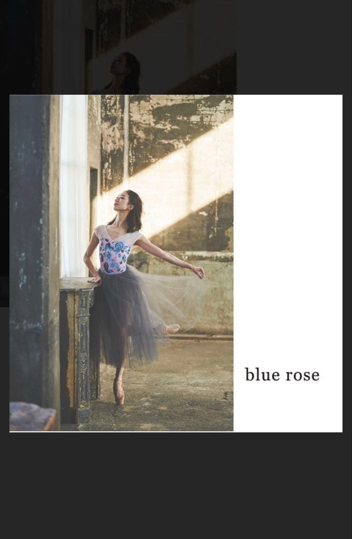 stina blue rose バレエ レオタード Sサイズ