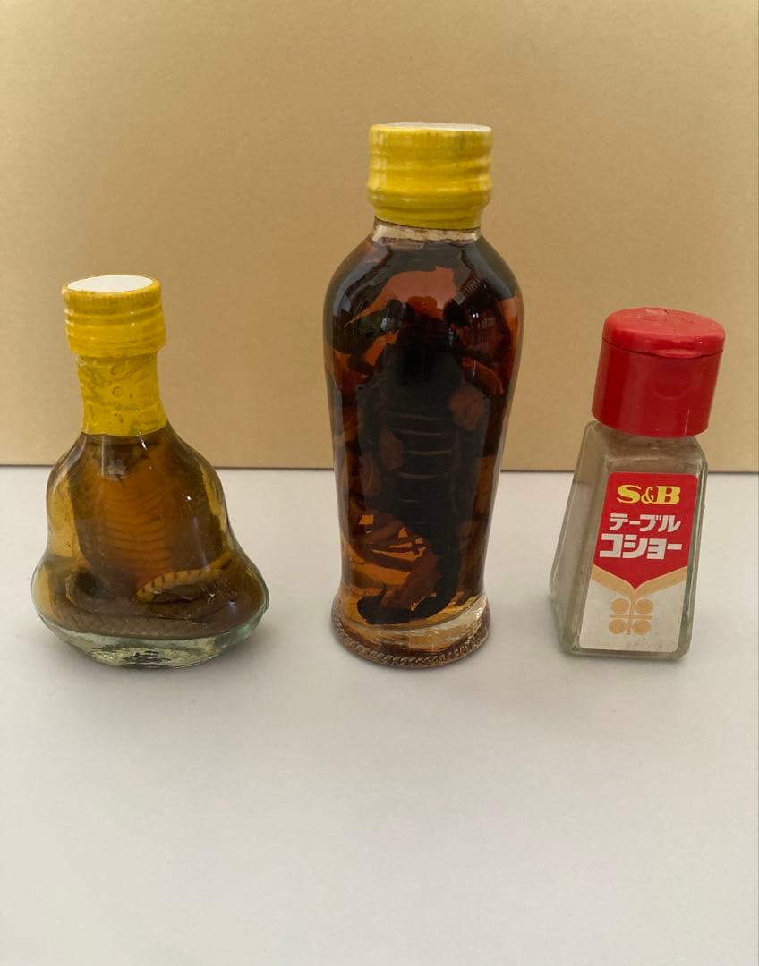蛇とサソリの瓶入りの置き物