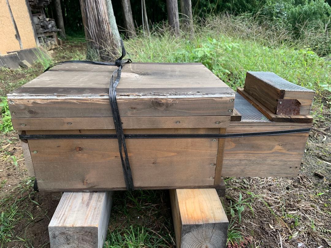 スズメバチ捕獲器　4個組　とも