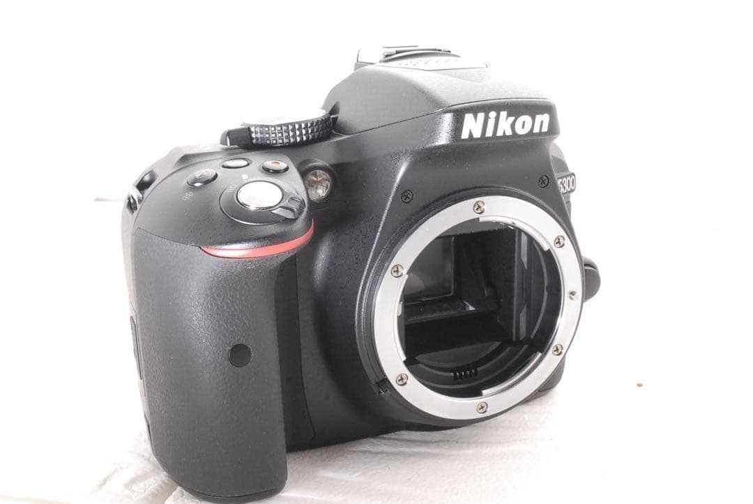 美品❤️ショット数3864回✨Nikon D5300ダブルズームセット 元箱付