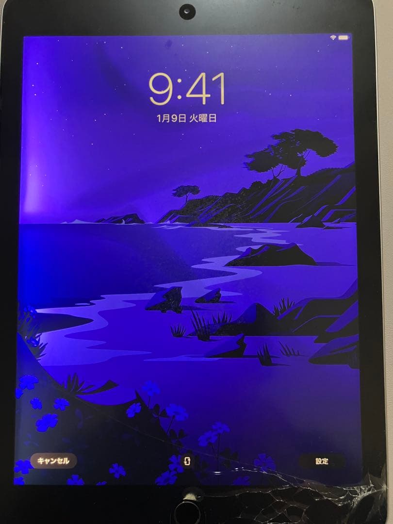 ジャンク iPad (第6世代)128GB/Apple Pencil付属