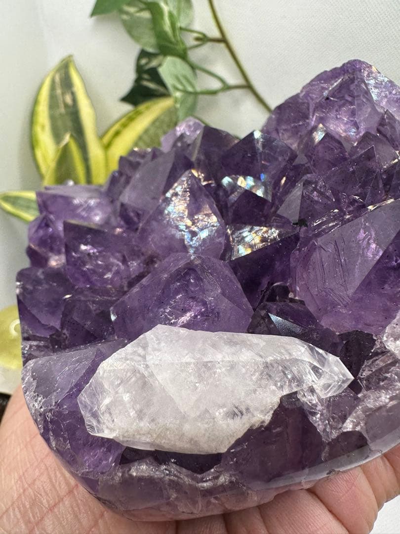 アメジストハートクラスター♡ロマネ入り♡カルサイト共生♡高級彫り台座