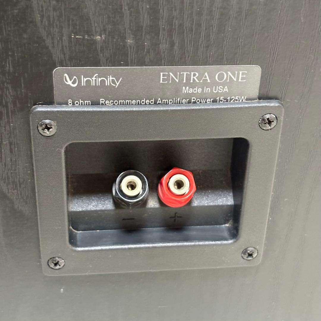 ✨希少✨ Infinity インフィニティ ENTRA ONE ペアスピーカー