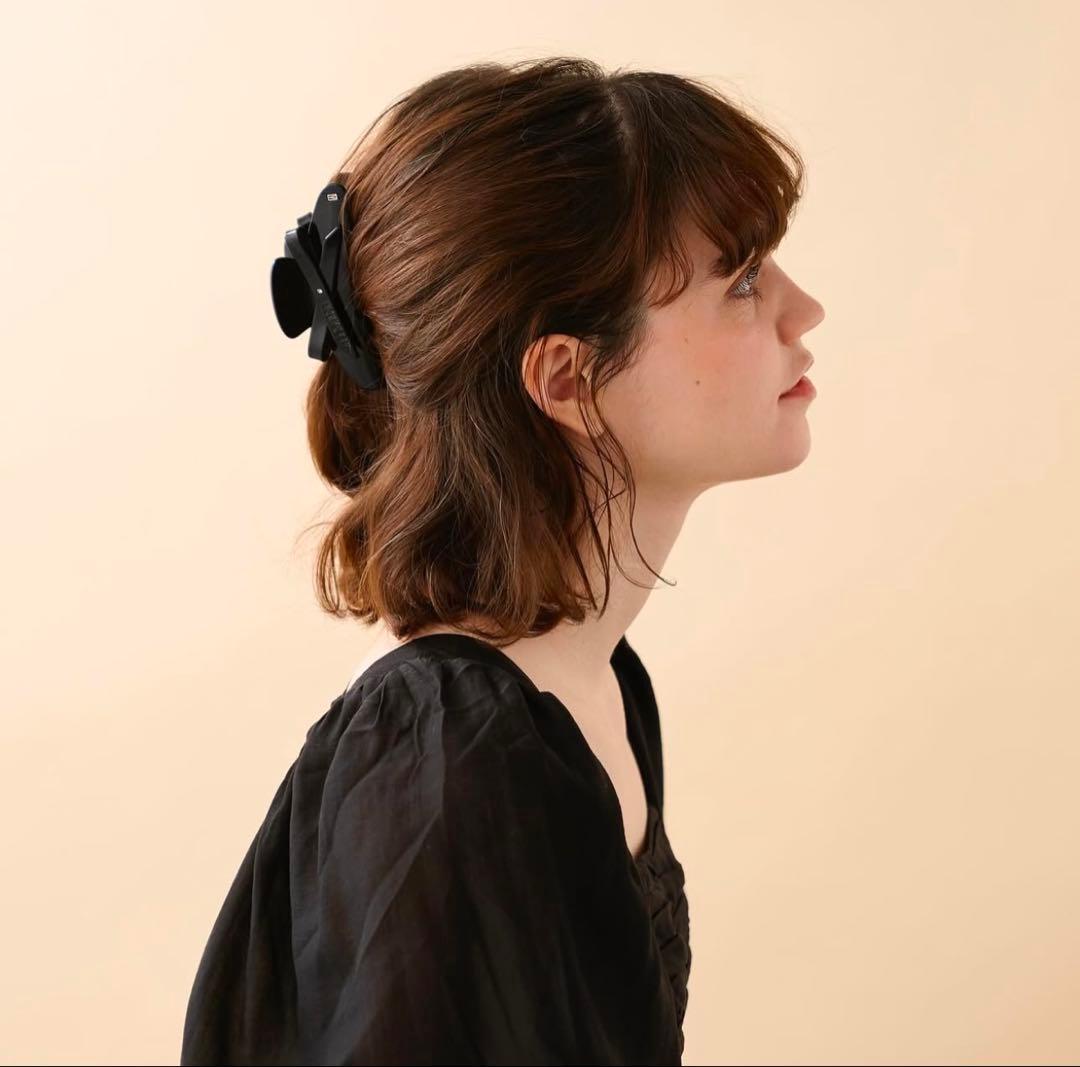 新品✨希少✨購入証明書有 ALEXANDRE DE PARIS ベージュクリップ