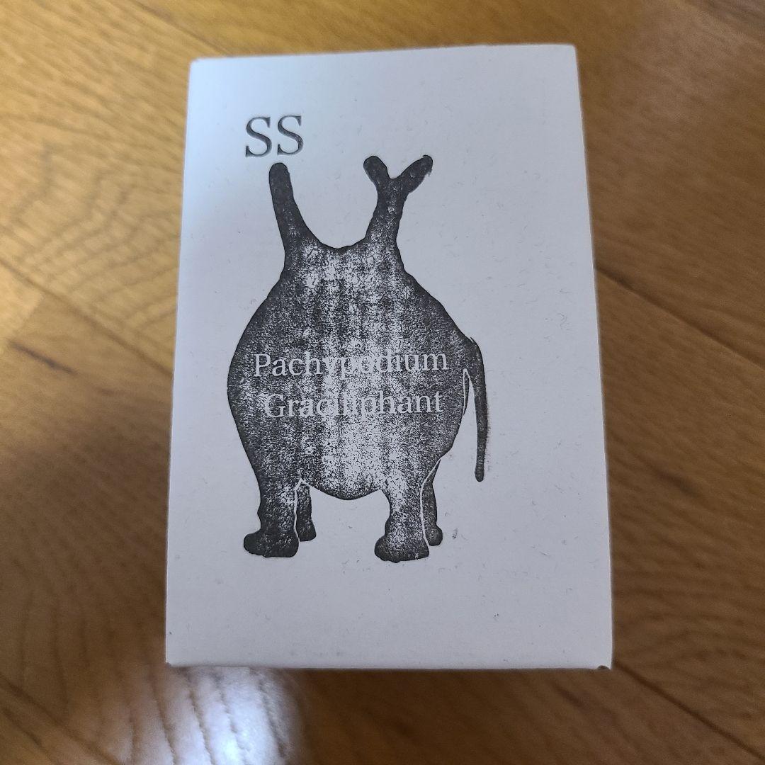 オーナメント・オブジェ OZWRT SS Pachypodium Graciliphant