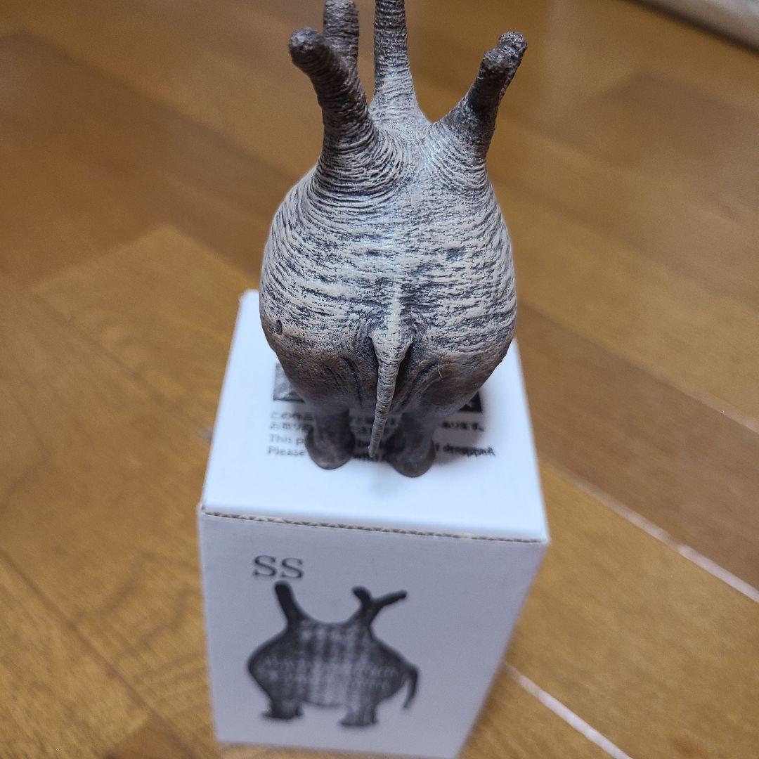 オーナメント・オブジェ OZWRT SS Pachypodium Graciliphant