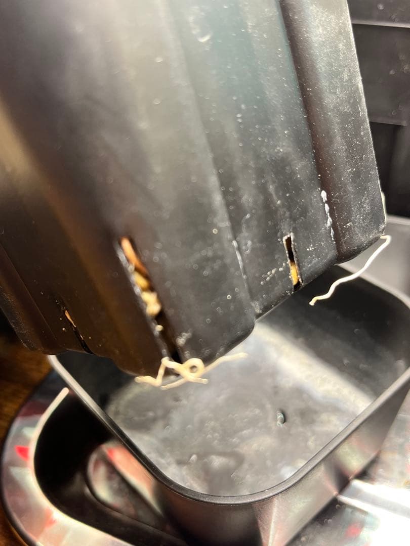 【最終】エボリスピナ× BB hybrid ハイブリッド①発根活着