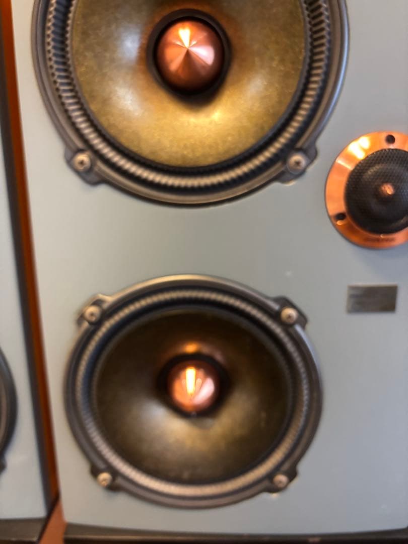 reqst pro dw-s1 モニタースピーカー