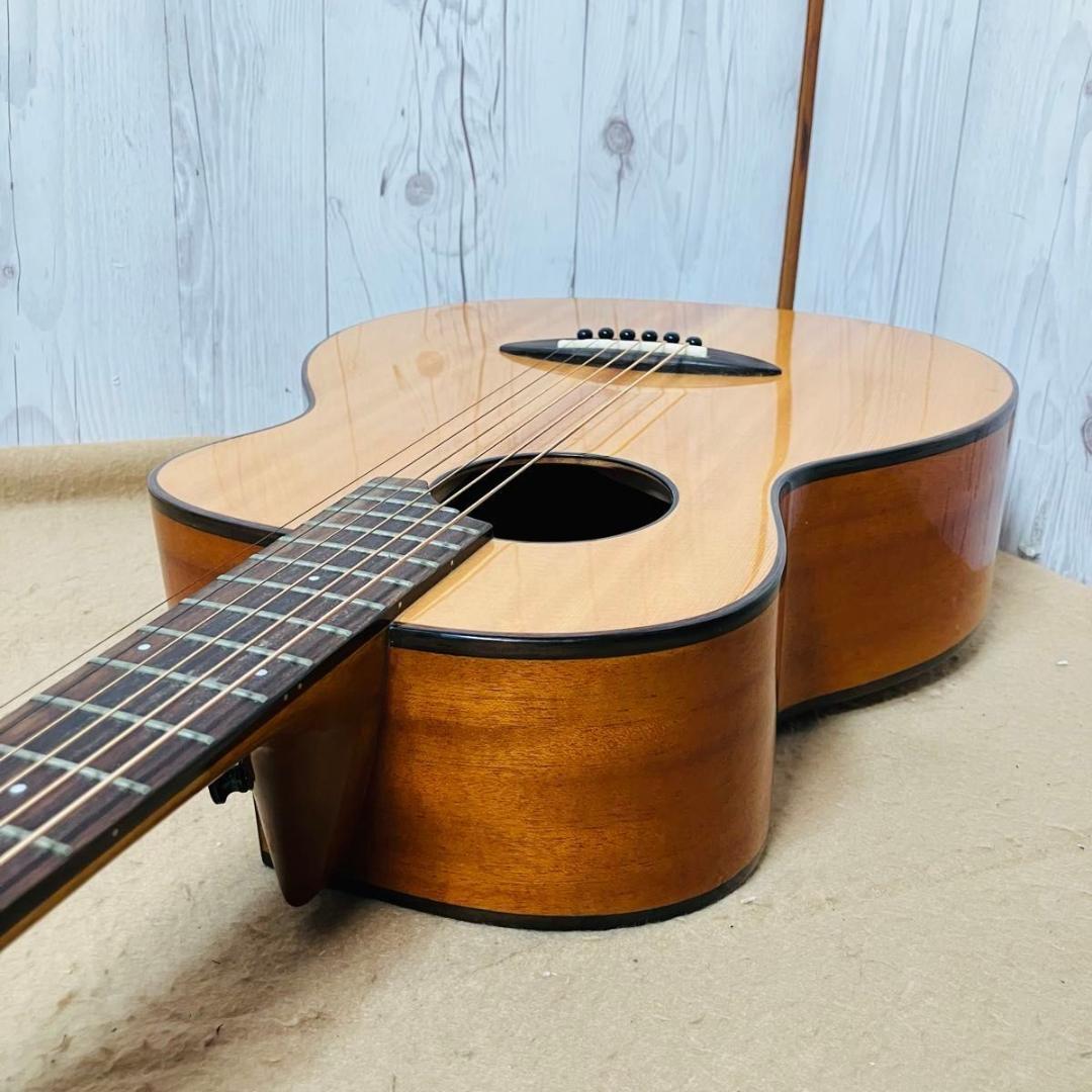 【希少 美品】aNueNue Bird M12 ソフトケース付き アヌエヌエ