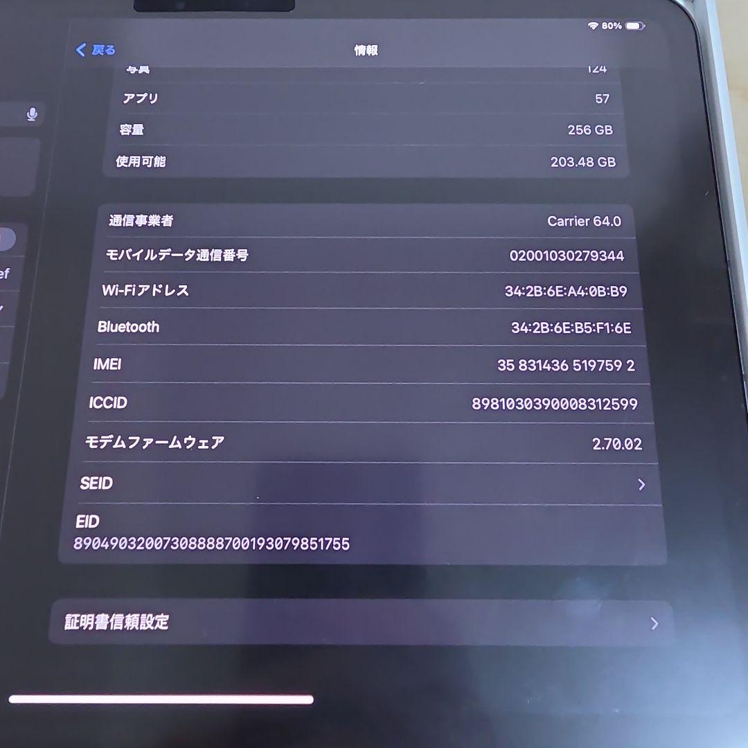 iPad pro M4 11インチ　wifi cellular
