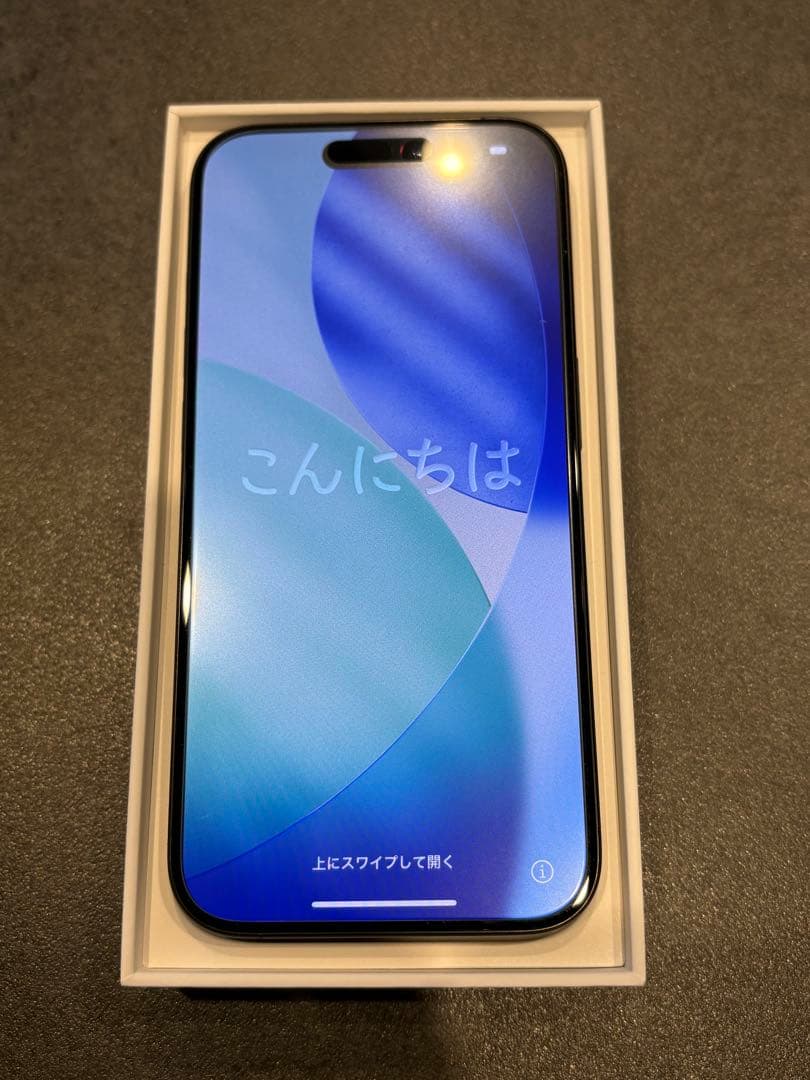 iPhone 15 Pro 中国版