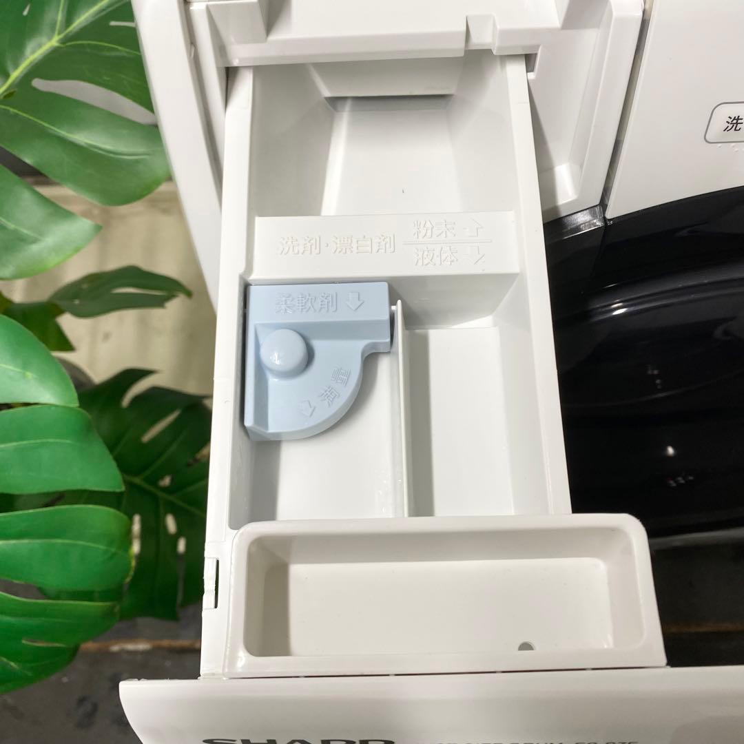 分解清掃済み！一人暮らしにも贅沢を♪ドラム式洗濯機7.0/3.5kg