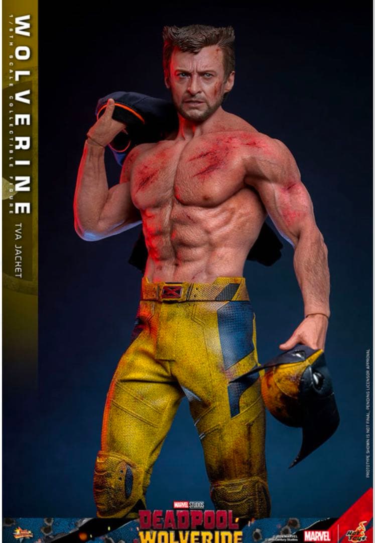 新品未開封　ホットトイズ　1/6 ウルヴァリン(TVAジャケット版)