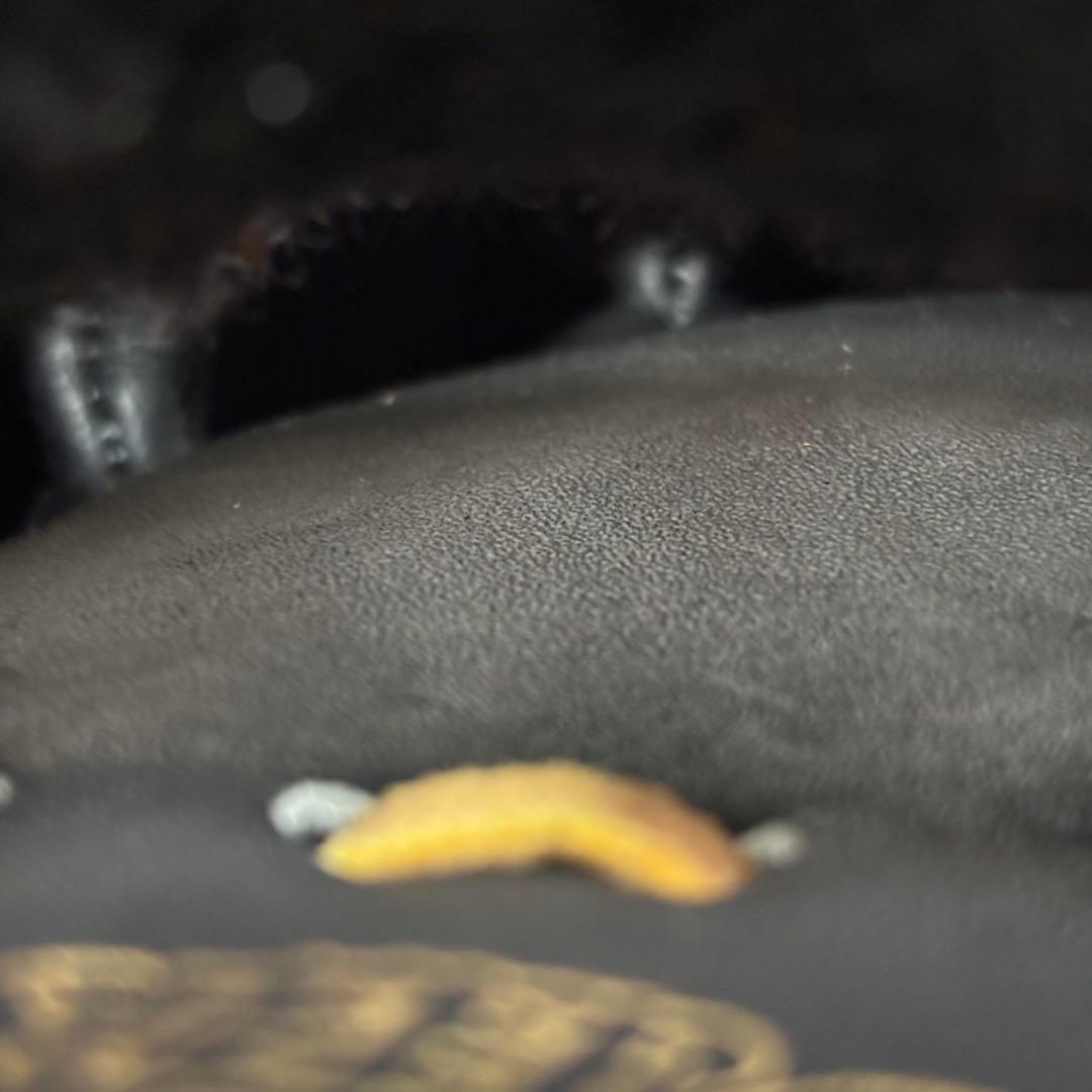 n*i様 今がチャンス‼️新品未使用 ミズノ 硬式 外野用 ビクトリーステージ