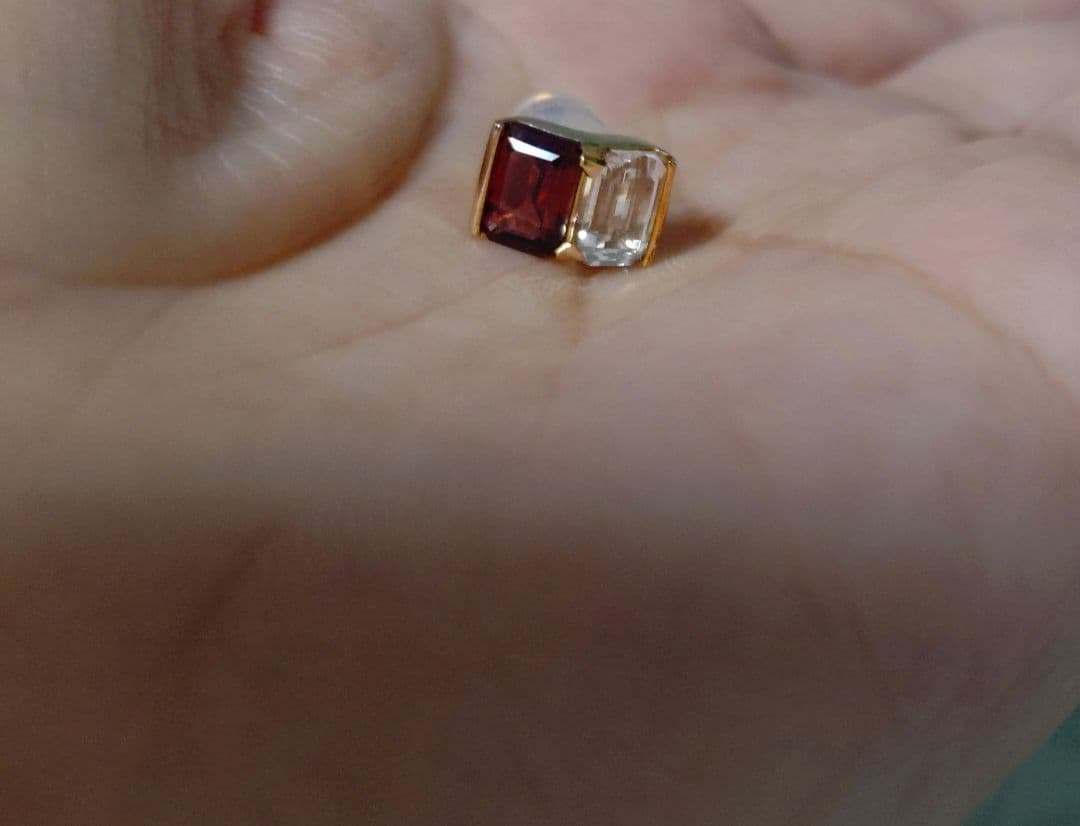 専用☆ヒロタカ　BIRD OF PARADISE ピアス