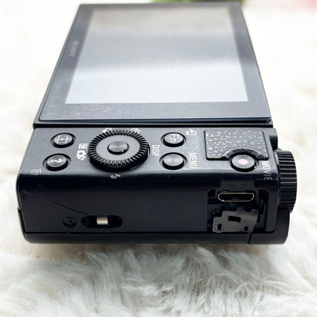 付属品完備 Sony Cyber-Shot DSC-WX500 ブラック 訳あり