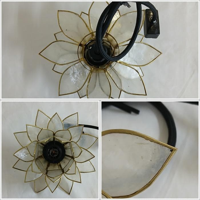 ioi24 訳あり カピス ロータス ホワイト オレンジの２個 F-77