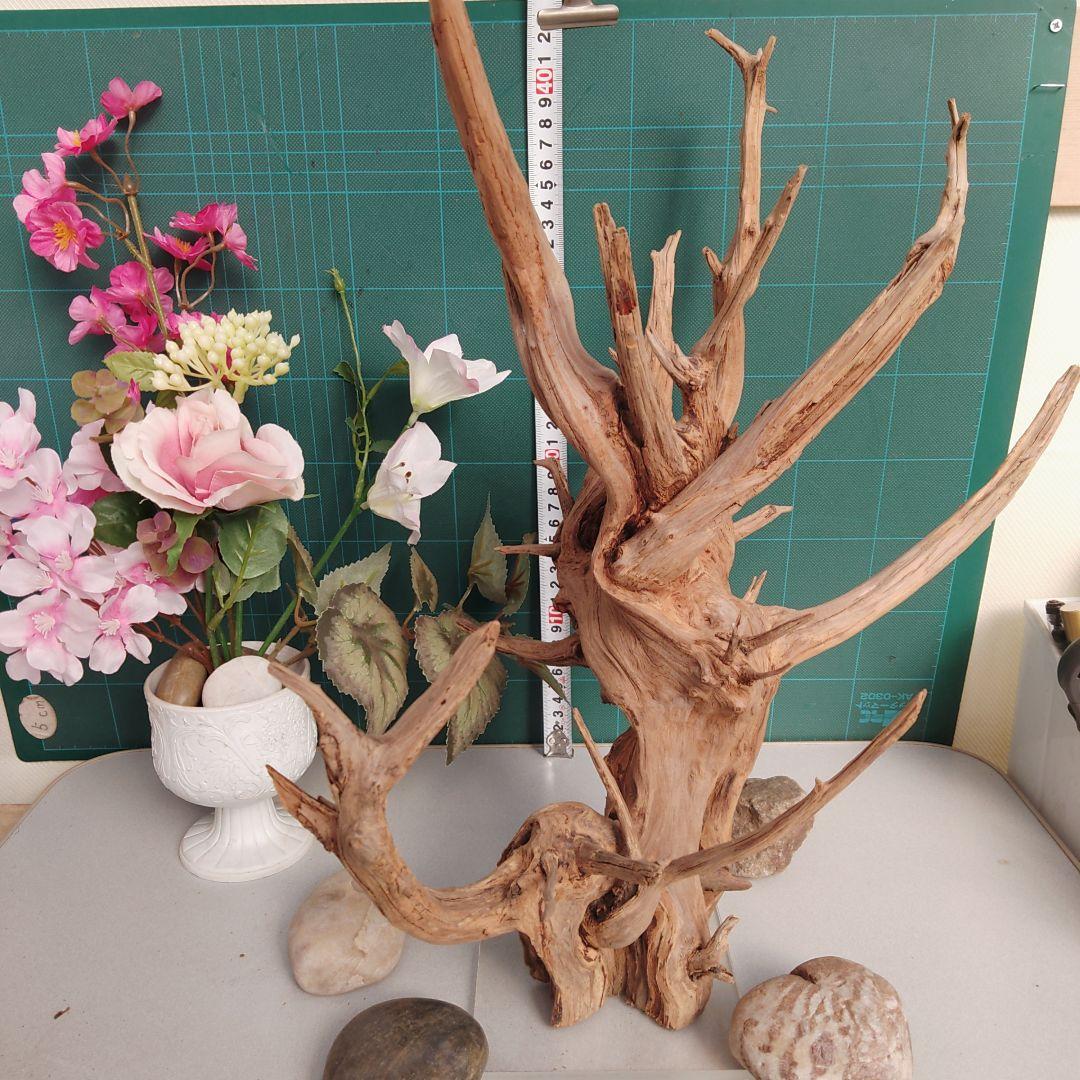 ８３１ホーンウッド灰汁抜き硬質水槽用流木 自然な枝状 約42cm964g