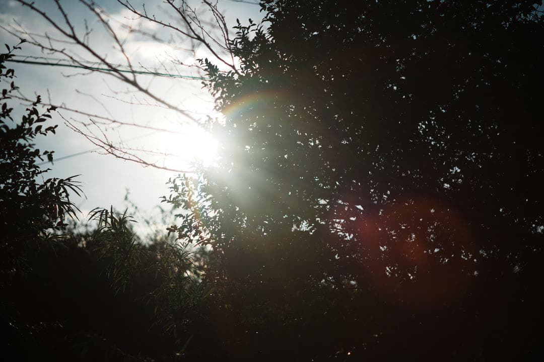 【整備＆テスト済】ミノルタ MC-ROKKOR PF 85mm F1.7 713