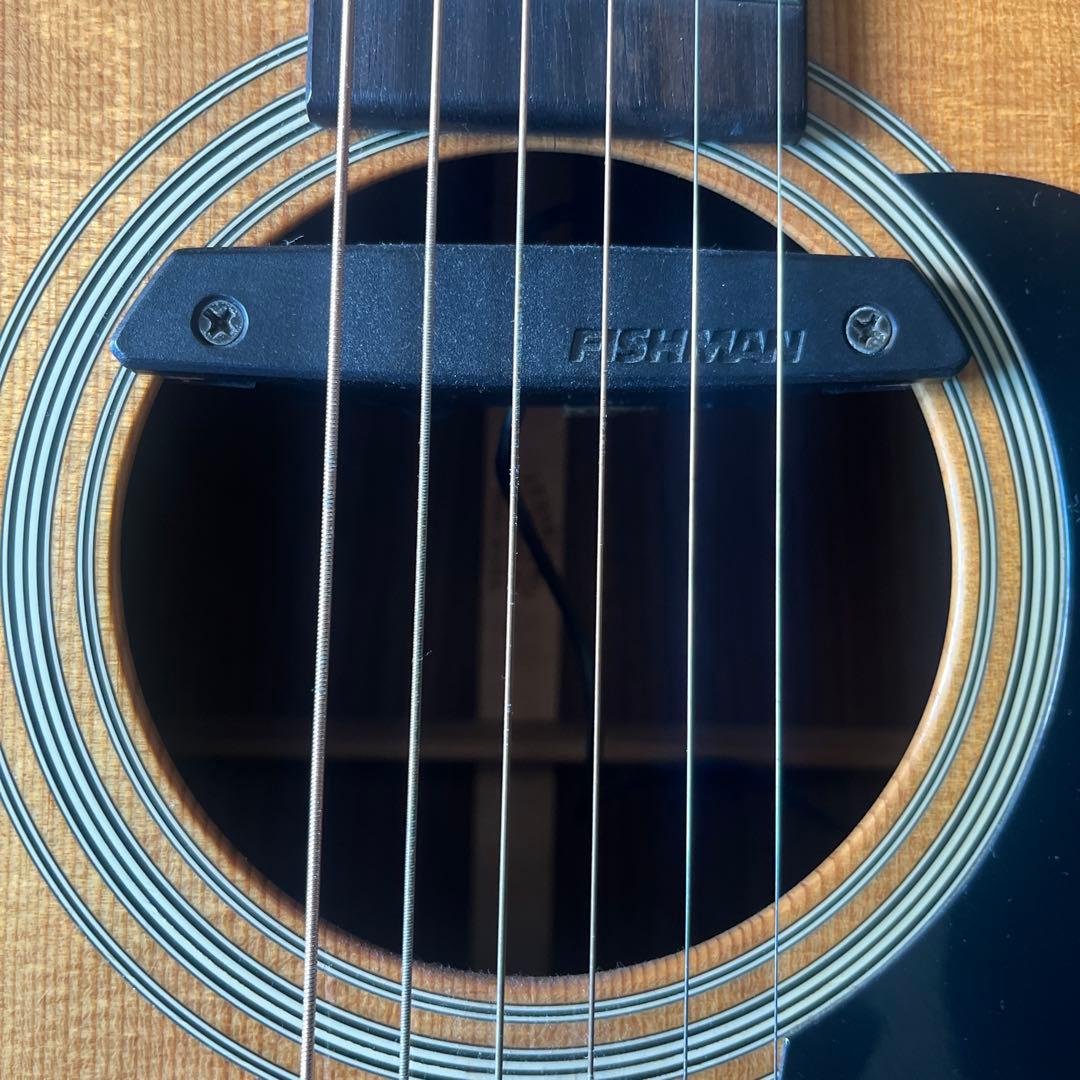 Martin D-28 Standard fishmanピックアップ