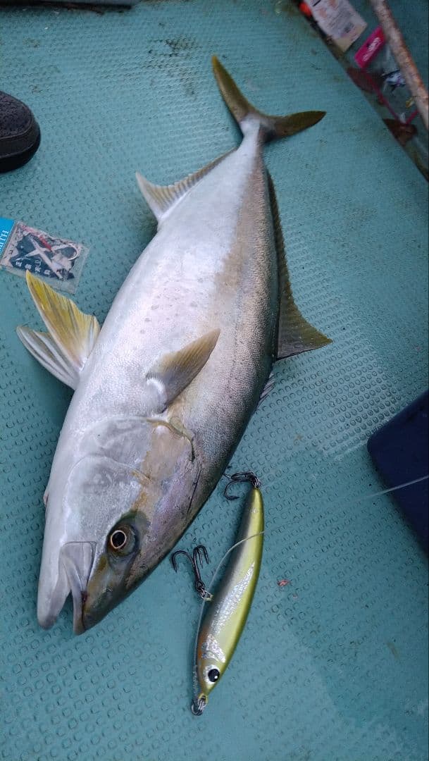 将栄丸　スライドダイバー190F ハンドメイドウッドルアー　ピンクシルバー