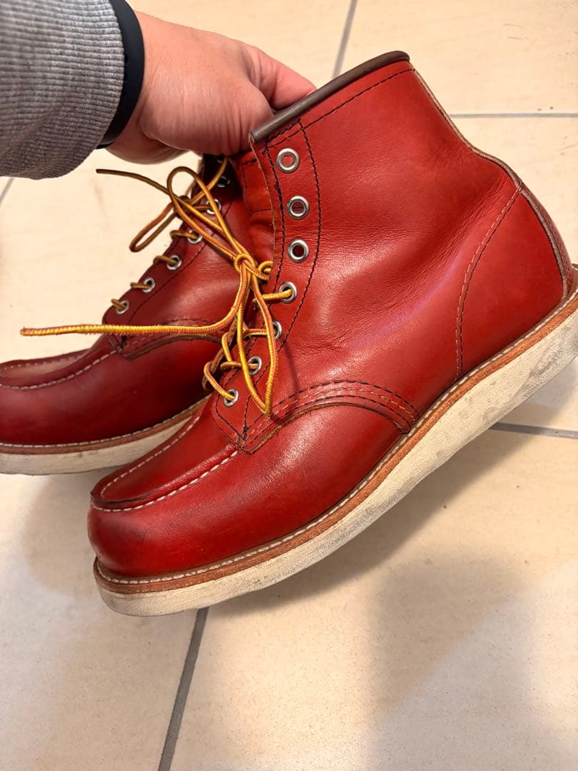 レッドウイング　犬タグ　8875 E 26センチ