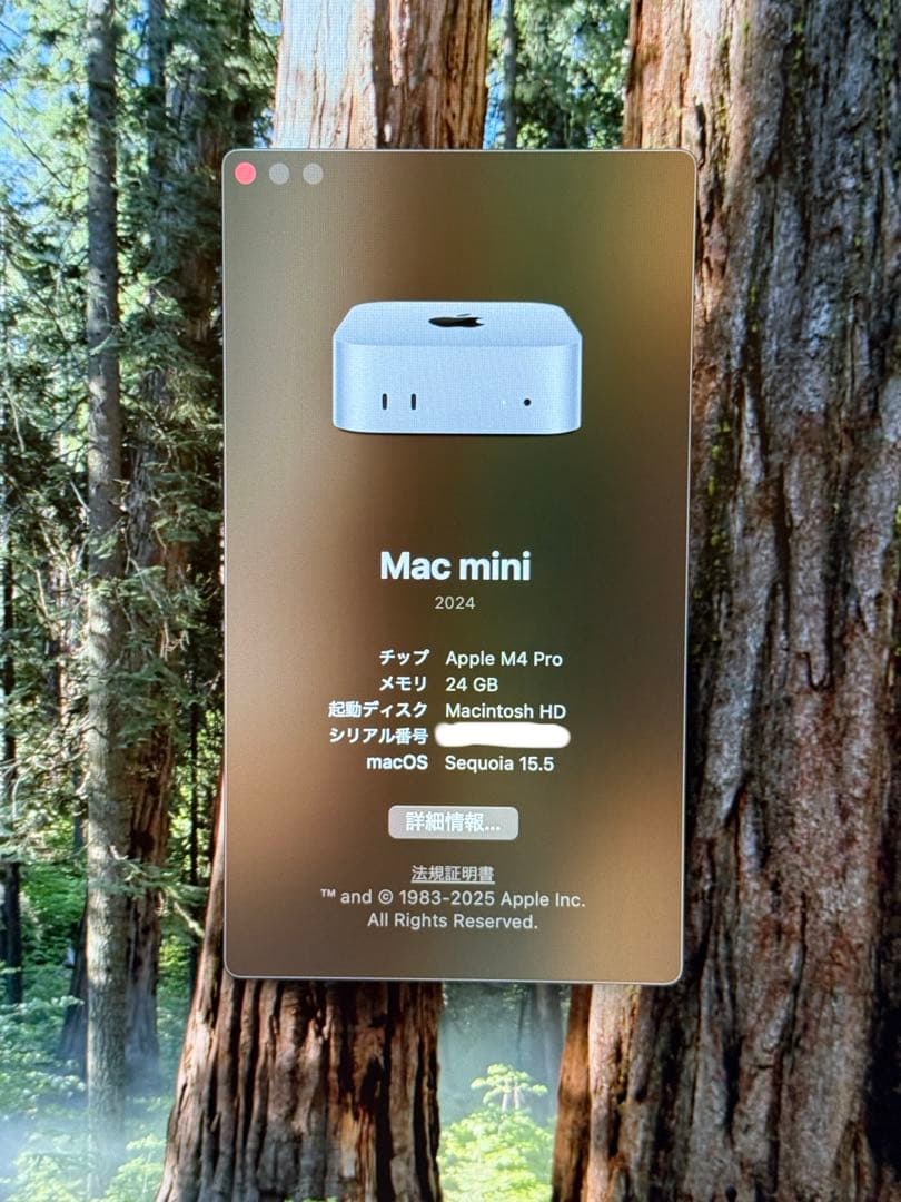 APPLE Mac mini M4 Pro メモリ24GB 512GB