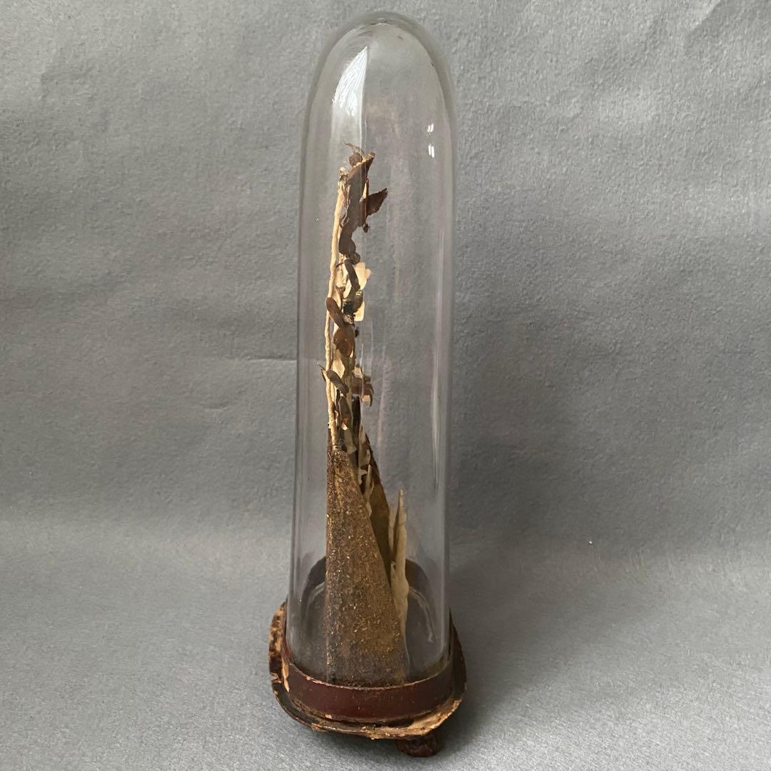 【アンティーク】 ガラスドーム 黒マリア 聖母子像 グローブドマリエ