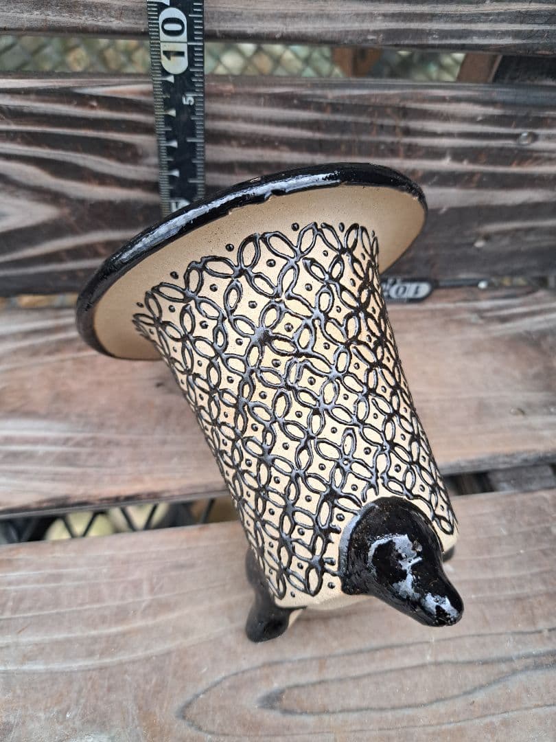 錦鉢　万年青　オモト　長生蘭　風蘭　古典植物　植木　観葉植物　インテリア　園芸