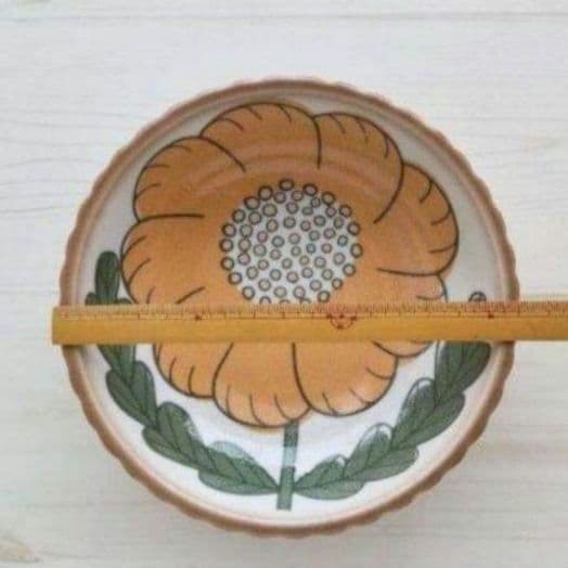 新品2点セット　美濃焼　すくすく　16cm 中鉢　はな