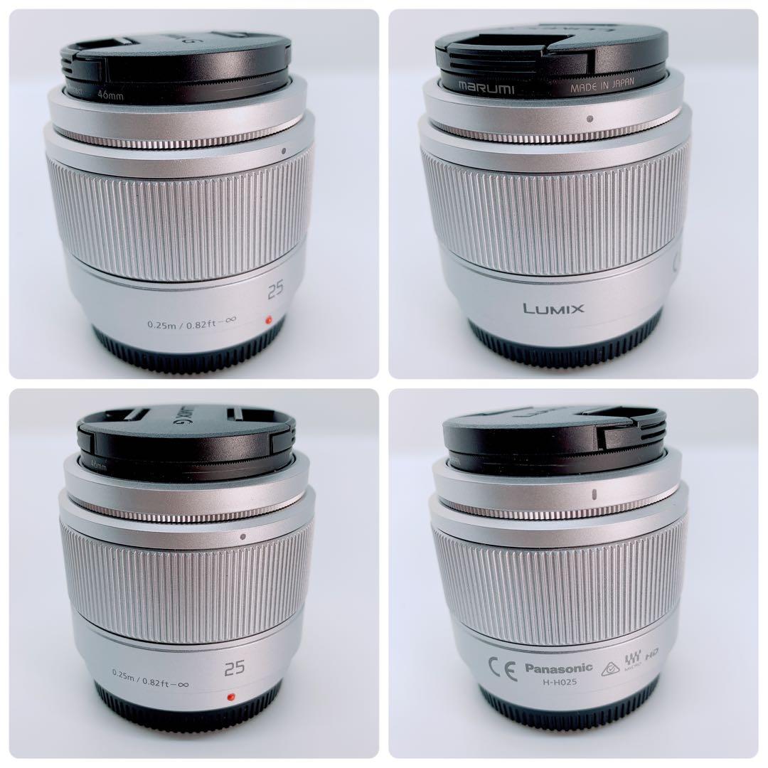 Panasonic ミラーレス一眼　LUMIX DC-GF10W C0165