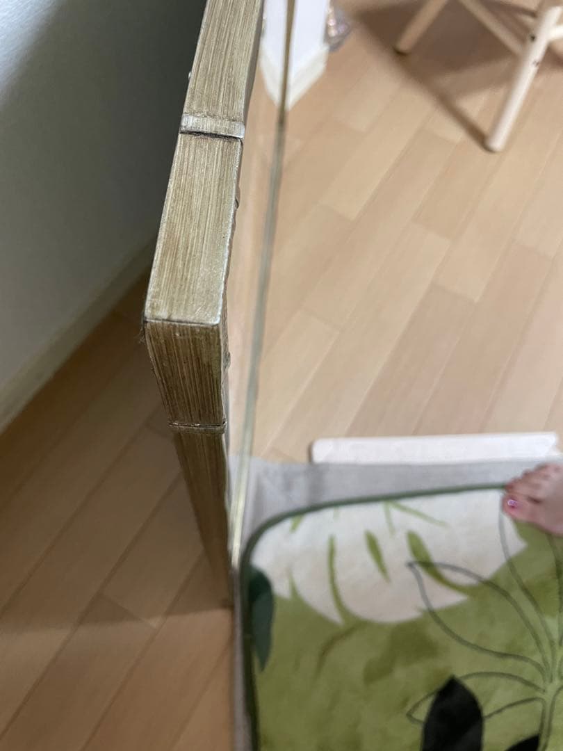 帯　額縁　龍　虎