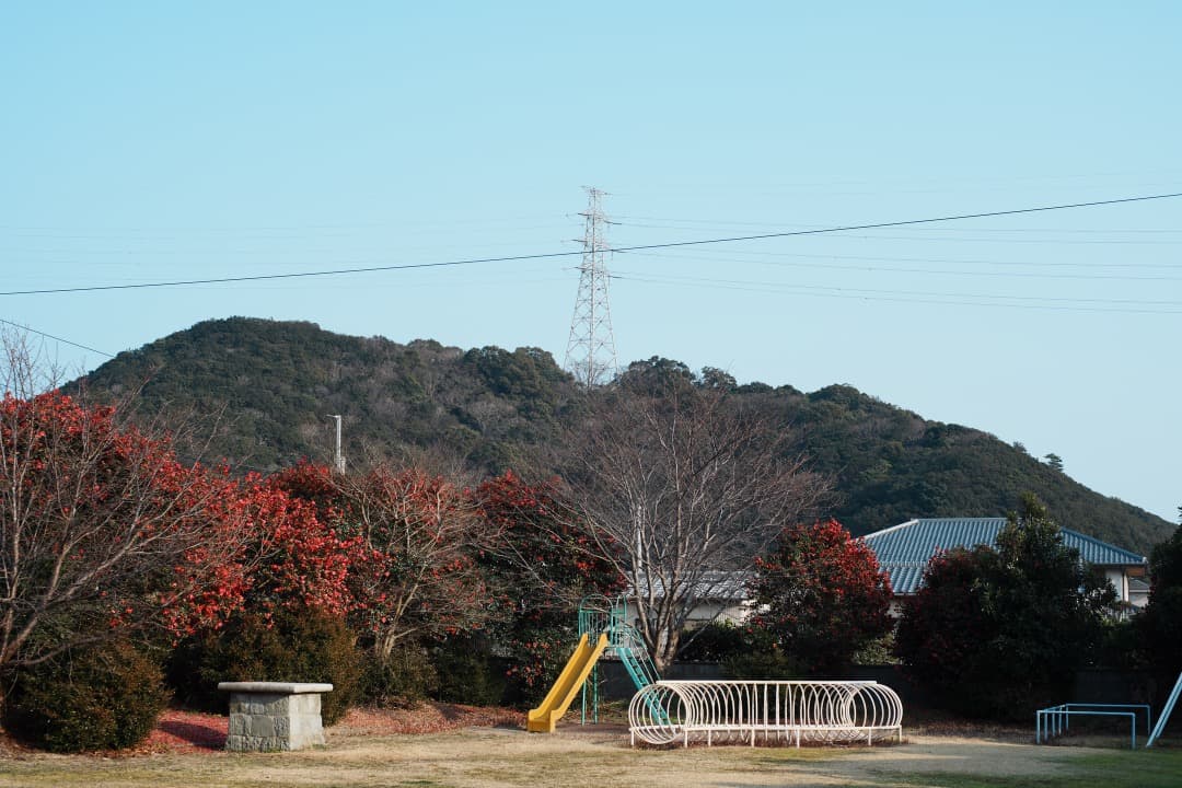 【フルセット】Carl Zeiss Planar 50mm F1.4 MMJ