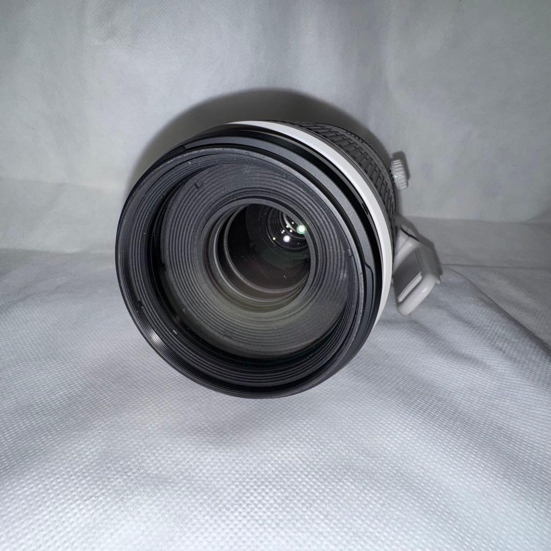 Canon 100-400 F4.5-5.6 L IS II USM 望遠レンズ