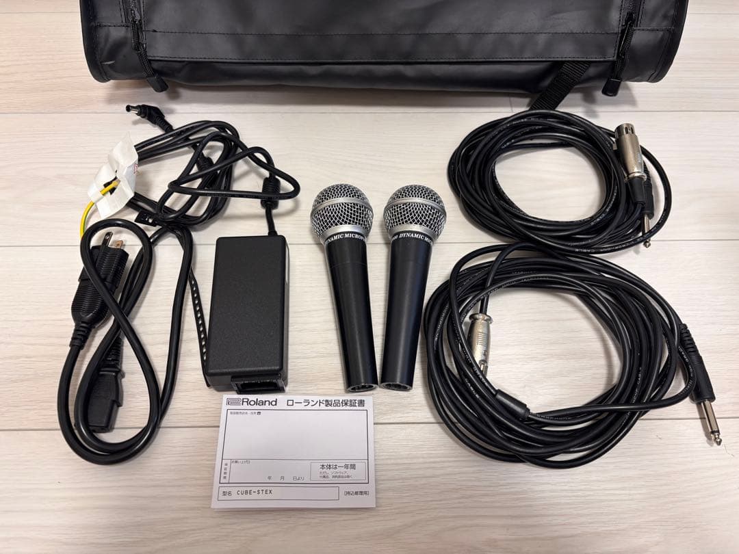 Roland CUBE STREET EX アンプ +マイク2本付き