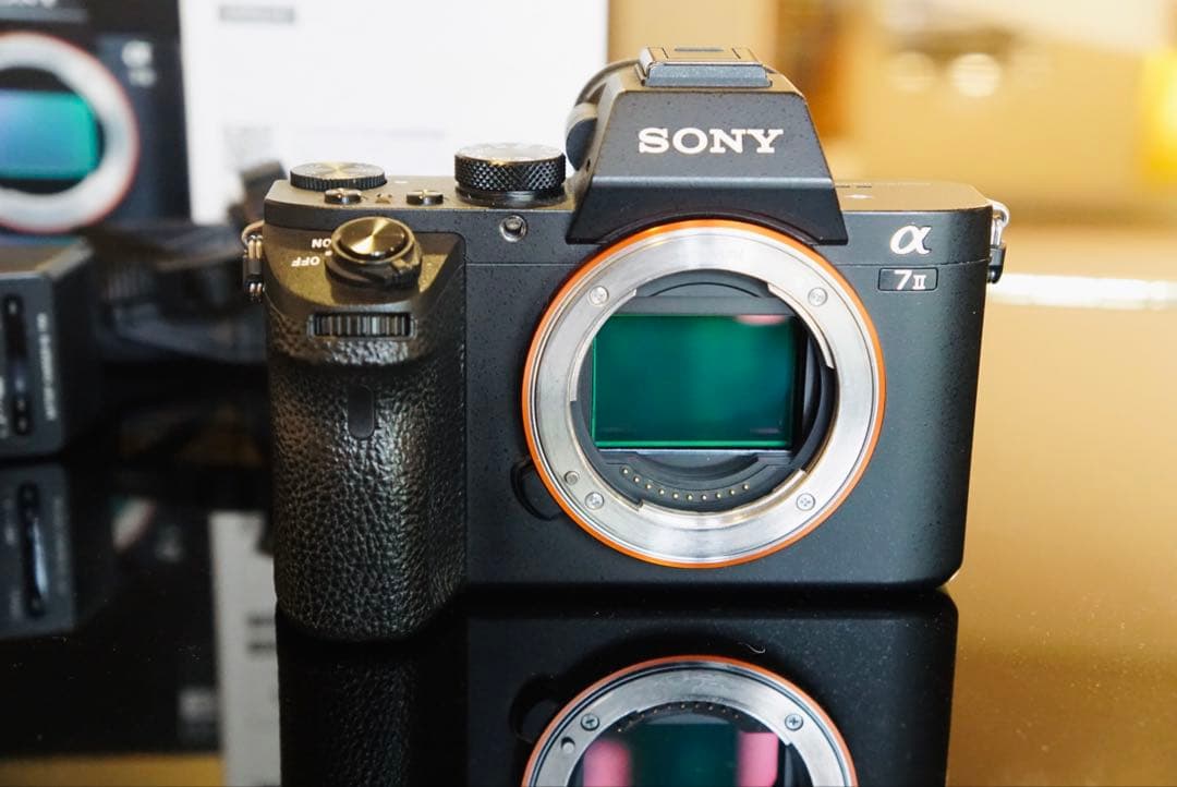 SONY α7 II ミラーレス一眼 本体 シャッター数22,391回 並品