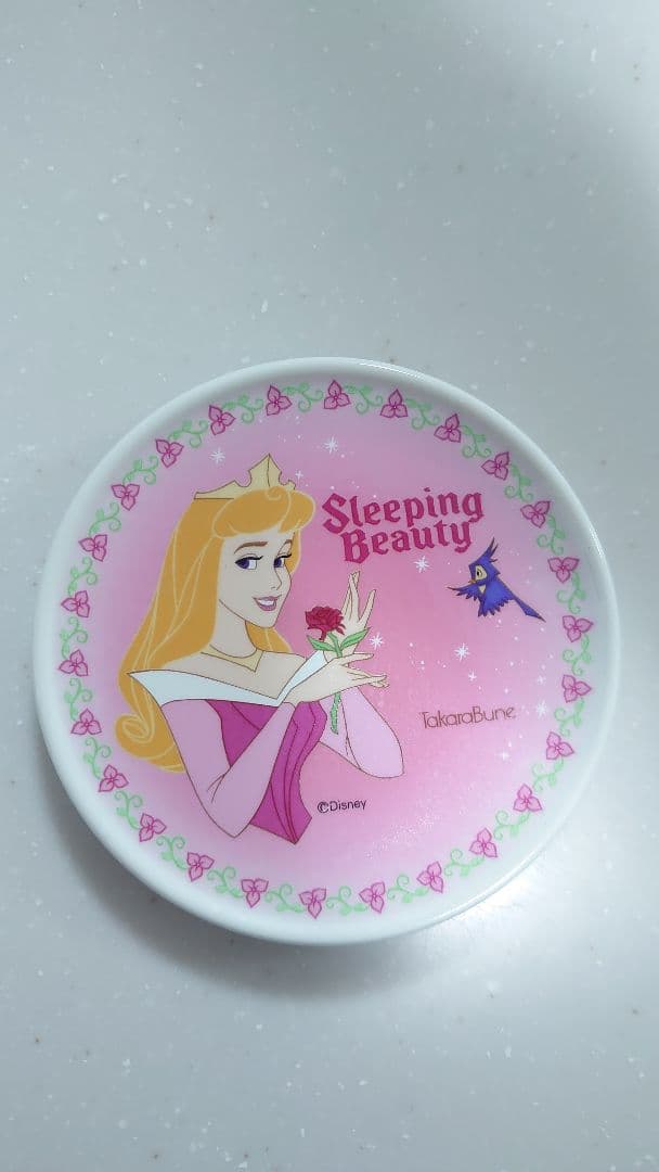【希少】ディズニープリンセス陶器プレート2枚セット【シンデレラ・オーロラ】