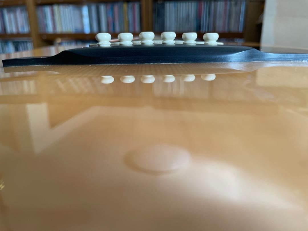 【説明・プロフ必読！】Martin & Co. D-16GT