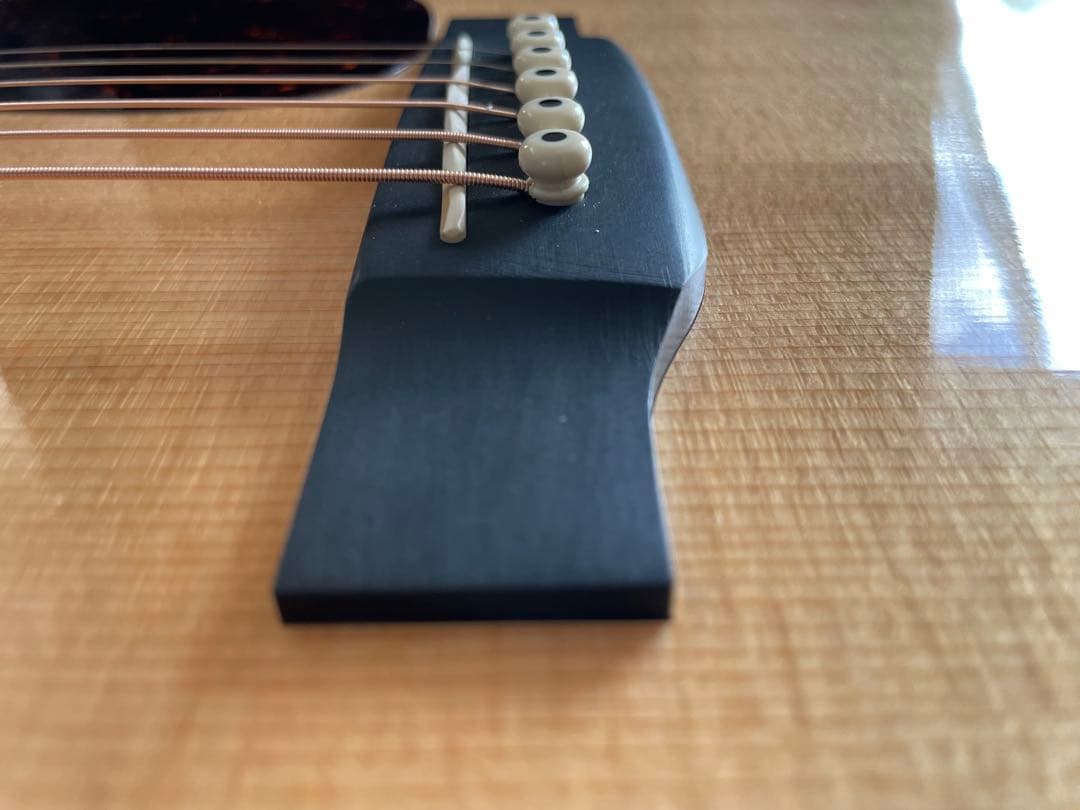 【説明・プロフ必読！】Martin & Co. D-16GT