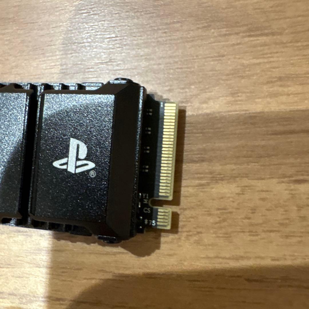 ウエスタンデジタル Western Digital 内蔵SSD 1TB